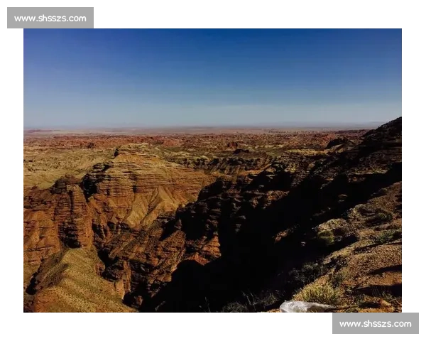 许家恒在挑战与突破中展现自我实力成为行业新兴领袖的成长历程