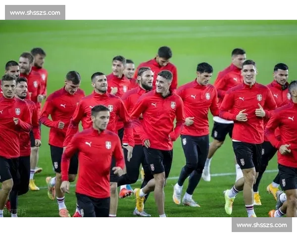 西班牙对阵挪威赛事前瞻与胜负走势深度预测分析关键因素全面解读